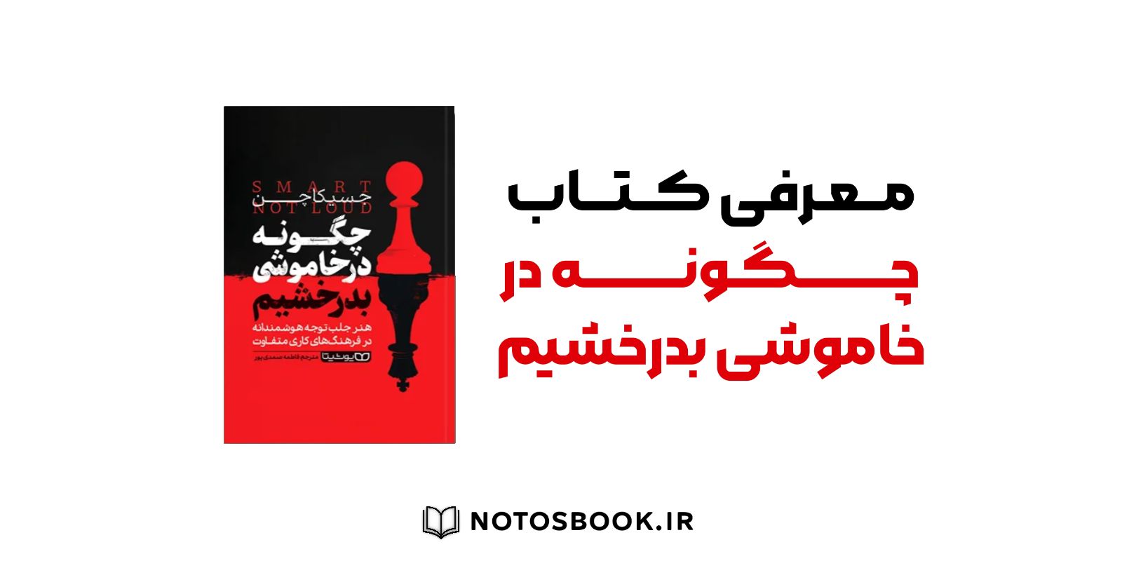 معرفی کتاب چگونه در خاموشی بدرخشیم 📚